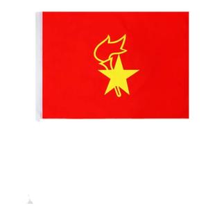 大队旗中队旗小队旗少先队队旗中国少年先锋队手拿小学生少先队员队旗2号3号4号5号旗帜大号120*90cm定制加厚
