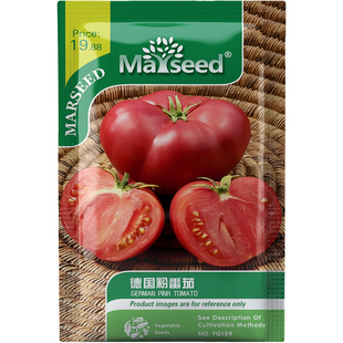 德国粉番茄种子种苗粉大果花香清甜厚肉沙瓤爆汁罐藏盆栽蔬菜C076