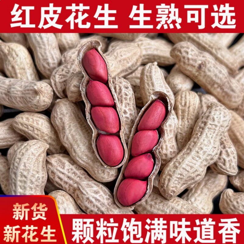 花生红色种子四粒红花生鲁寿花生黑花生高产种子地栽花生四季栽种