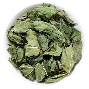 桑叶中药材桑叶干500g干桑叶泡水喝 霜打霜后霜桑叶茶散装 桑树叶