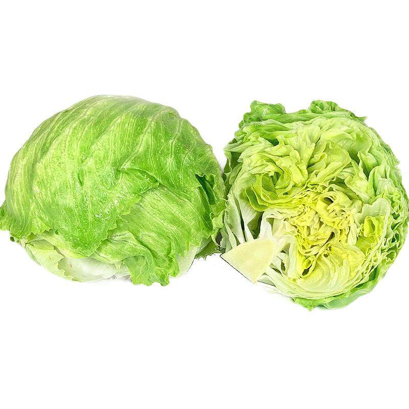 新鲜球生菜5斤 汉堡用西餐新鲜蔬菜沙拉食材结球形圆型西生菜包邮