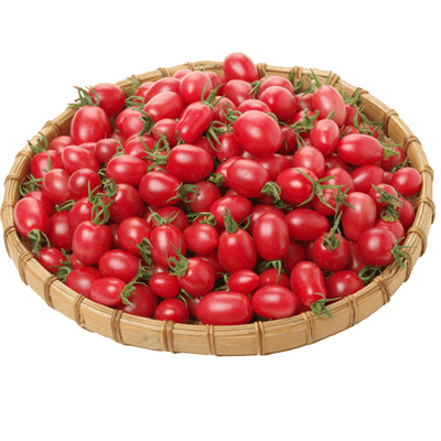 改良酸甜可口特好吃菜番茄种子