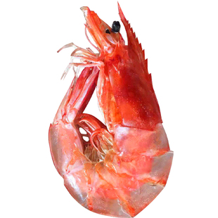 中号烤虾500g即食虾干食用海货淡干中号零食烤虾