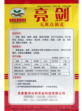 亮剑油麦菜种子早熟耐热耐寒甜脆