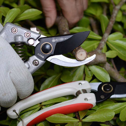 家用粗枝剪修枝剪修花剪园艺剪刀园林果树修剪树枝剪刀花剪工具