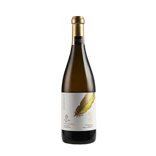 【留世锦羽  买2赠1】宁夏留世酒庄23年锦羽霞多丽干白葡萄酒