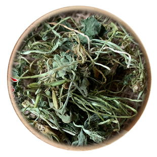 精选 中药材 紫花地丁 地丁 50g 可打粉 满包邮