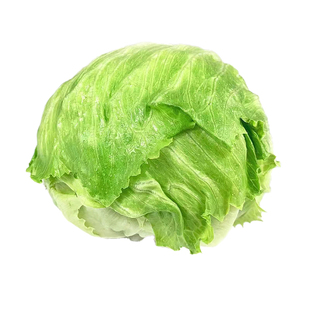 燎原球形生菜2斤汉堡用球生菜凉拌蔬菜沙拉结球形圆型西生菜火锅
