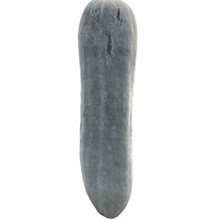 鼎牌365冬瓜种子白皮长棒形种籽早熟高产东瓜籽种春季秋季蔬菜孑