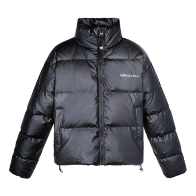 ALLINPU皮鸭绒冬季保暖羽绒服