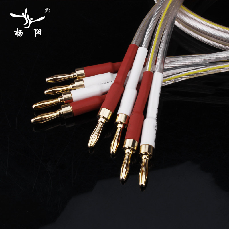 YYAUDIO 音箱线发烧级专业6N铜镀银喇叭线HiFi音响线香蕉头环绕线