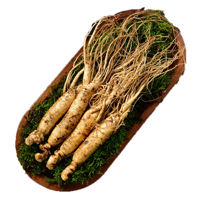 现挖新鲜人参清河边条参500g