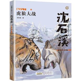 虎狼大战 沈石溪动物小说 彩绘注音版fb小学生一年级二年级课外书少年儿童课外阅读书籍故事书 之虎狼大战