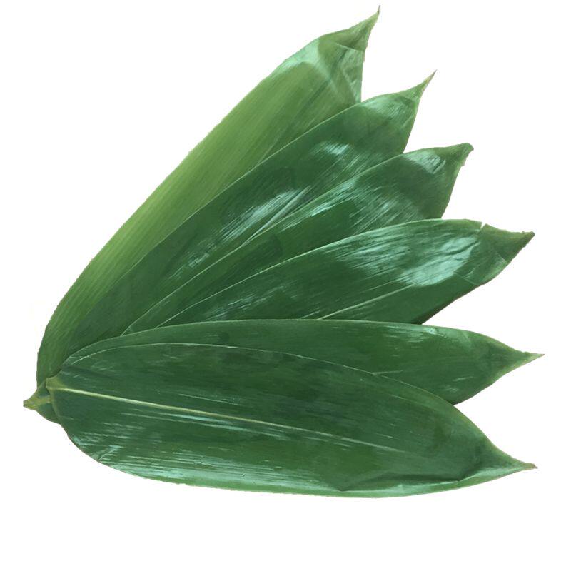 粽叶新鲜粽子叶端午节包粽子神器