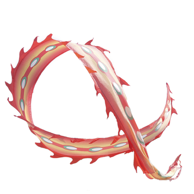 广场彩条初学中老年烫金带球甩龙