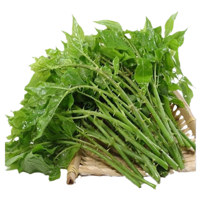 云南刺五加秘庄苤苦凉菜