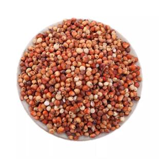 贵州批发新红高粱酿酒喂鸽子带皮高粱鸽粮食酿醋去壳高粱特价