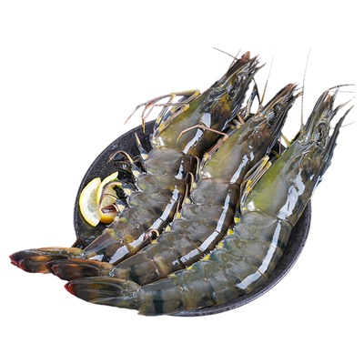 【胡可推荐】国联黑虎虾新鲜大虾鲜活盐冻老虎虾冷冻特大海鲜虾