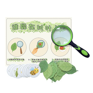 幼儿园小中班专注观察记忆力放大镜益智区材料配对卡片认知教玩具