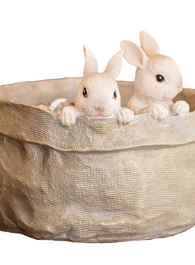 掬涵软萌兔子解压收纳摆件