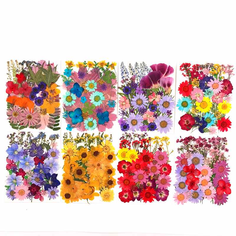 40片花叶组合干花批发压花花包胶真花Pressed滴树叶Flower真押