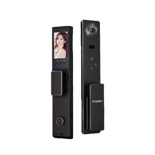 金点原子P60防水防晒电子门锁智能锁视频猫眼人脸识别全自动开锁