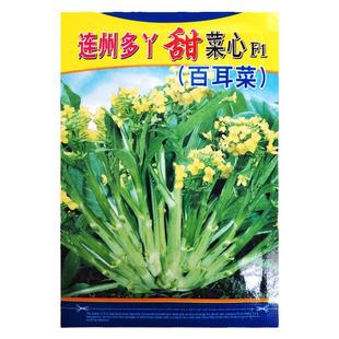 连州多丫甜菜心种子多枝多芽百耳菜种农家蔬菜种孑增城迟菜心种籽
