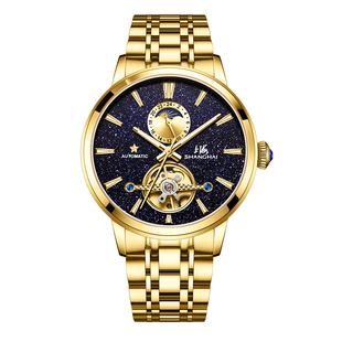 上海手表男日月星辰新款腕表砂金石星空飞轮自动机械表防水6009