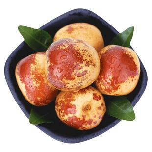 大荔冬枣树活苗树特大青脆大枣嫁接北方南方种植庭院果树果苗盆栽