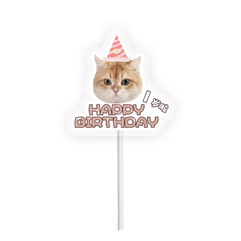宠物生日插牌装饰定制猫咪狗狗