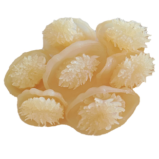 辰光葵花海蜇 海蜇花 口感脆爽 凉拌热炒涮火锅（净重2斤/5斤）