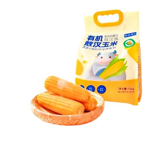 有机敖汉玉米黄金小粒黄糯小玉米三度七内蒙新鲜甜糯玉米棒真空装