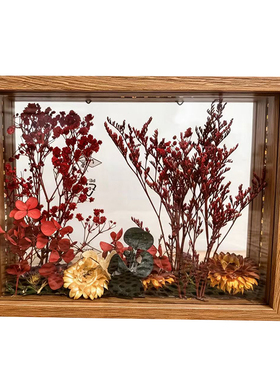 DIY手工永生花相框双面透明中空4cm木质展示框装饰画框创意摆件