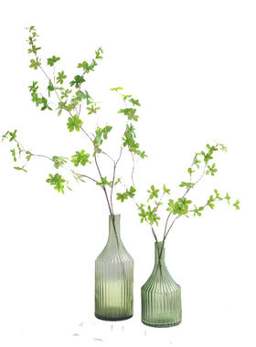 北欧ins风绿植家居日本植物绿叶