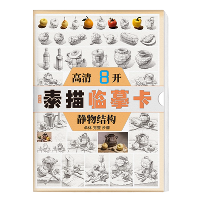 素描静物结构临摹卡8K 卡片高清精微石膏画卡单体明暗结构国美初级学照片作品自学基础入门画册书教材教学美术绘画对照描摹练习卡