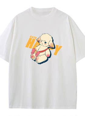 230g纯棉T恤情侣装t恤2026新款夏装纯棉短袖小众衣服穿搭多种款式