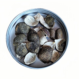 广东新鲜桔皮陈皮干2024年新货陈皮柑子阳光晾晒青桔皮野生山桔皮