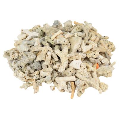 珊瑚骨养鱼造景过滤材料稳定PH值