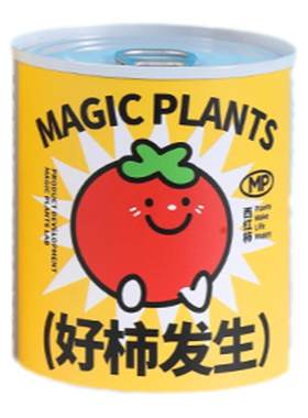 西红柿室内桌面净化空气罐头植物