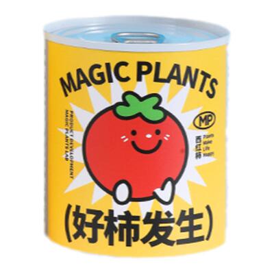 西红柿室内桌面净化空气罐头植物