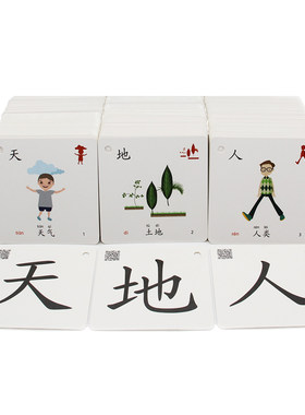 婴幼儿园早教全脑记忆宝宝卡片