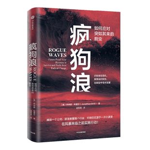 疯狗浪 企业应对颠覆性的指南 乔纳森布里尔著 对剧变的管理提出系统的解决方案 中信出版社图书 正版