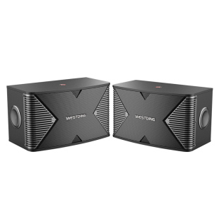 威斯汀6.5寸8寸10寸12寸家庭KTV音响卡包一对家用K歌木质音箱单只