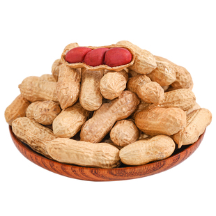 精选东北红皮花生2025年农家新货晒干不带壳四粒红花生米炒货原味