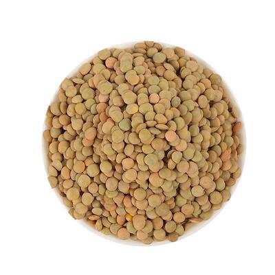 新小扁豆新货甘肃特产农家