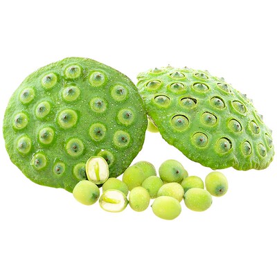 新鲜水果莲蓬！现摘生吃甜嫩莲子