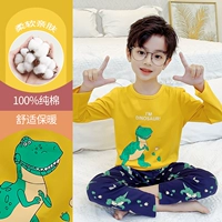DNY058 Dinosaurs#2K
