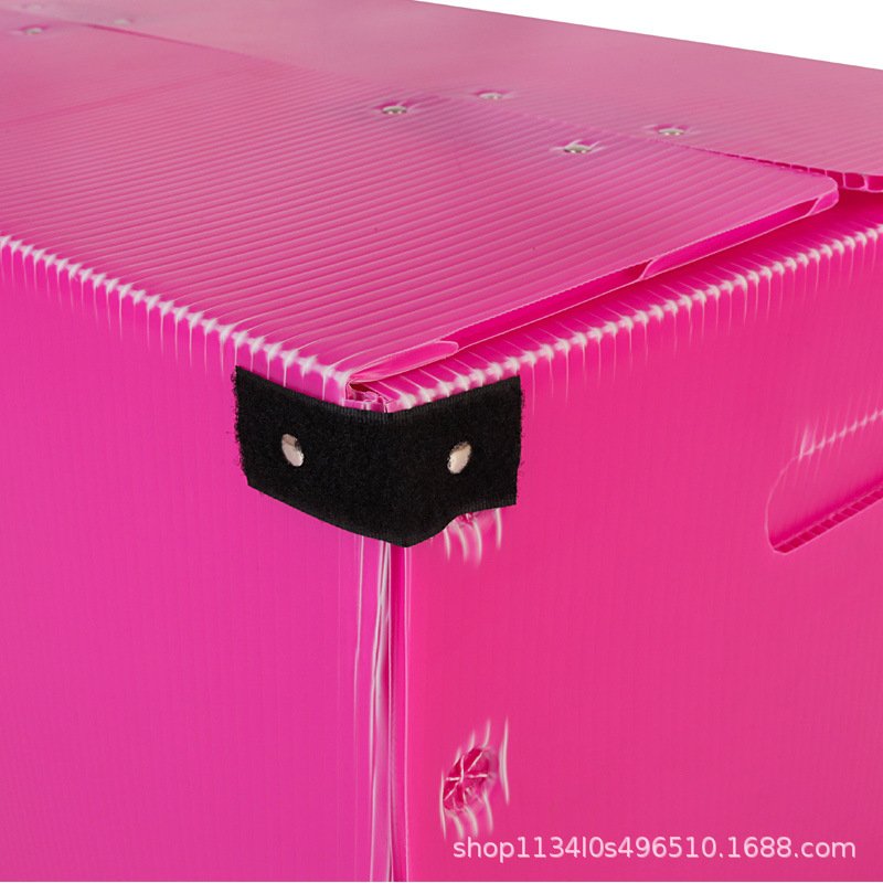 21纸箱型中空板周转箱魔术贴收纳循中空板瓦楞多次塑胶箱纸箱塑料