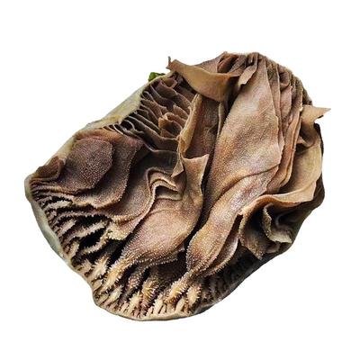 毛肚整个5斤13.8元/斤顺丰速运