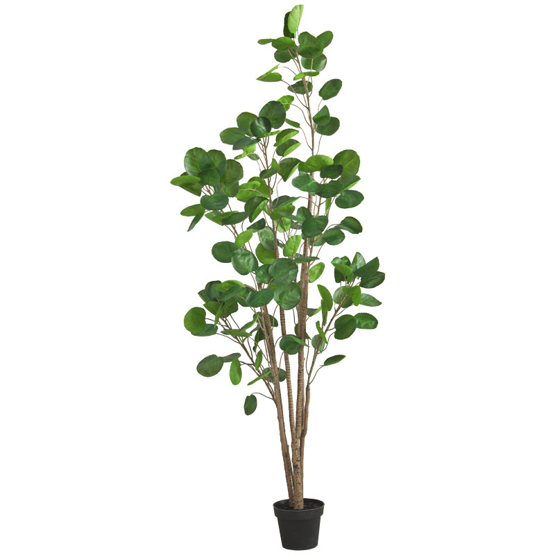 仿真绿植室内装饰金钱树发财树